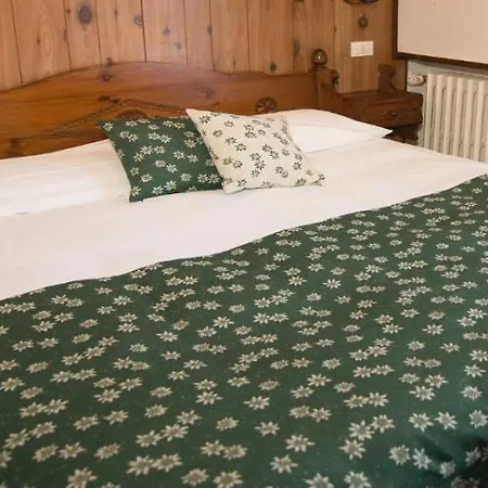 Edelweiss Hotel 2*
