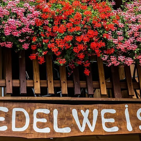 Edelweiss Hotel 2*