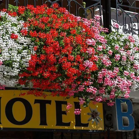 Edelweiss 3* Limone Piemonte