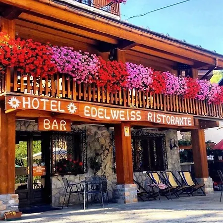 Edelweiss