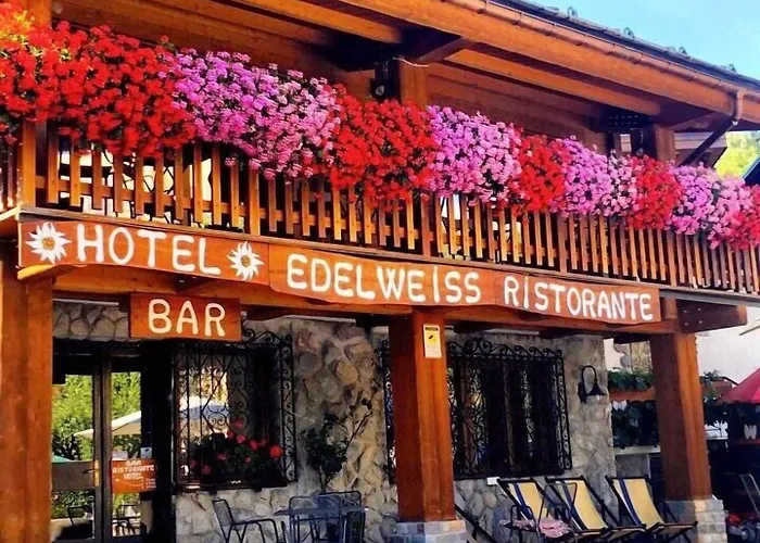 Edelweiss